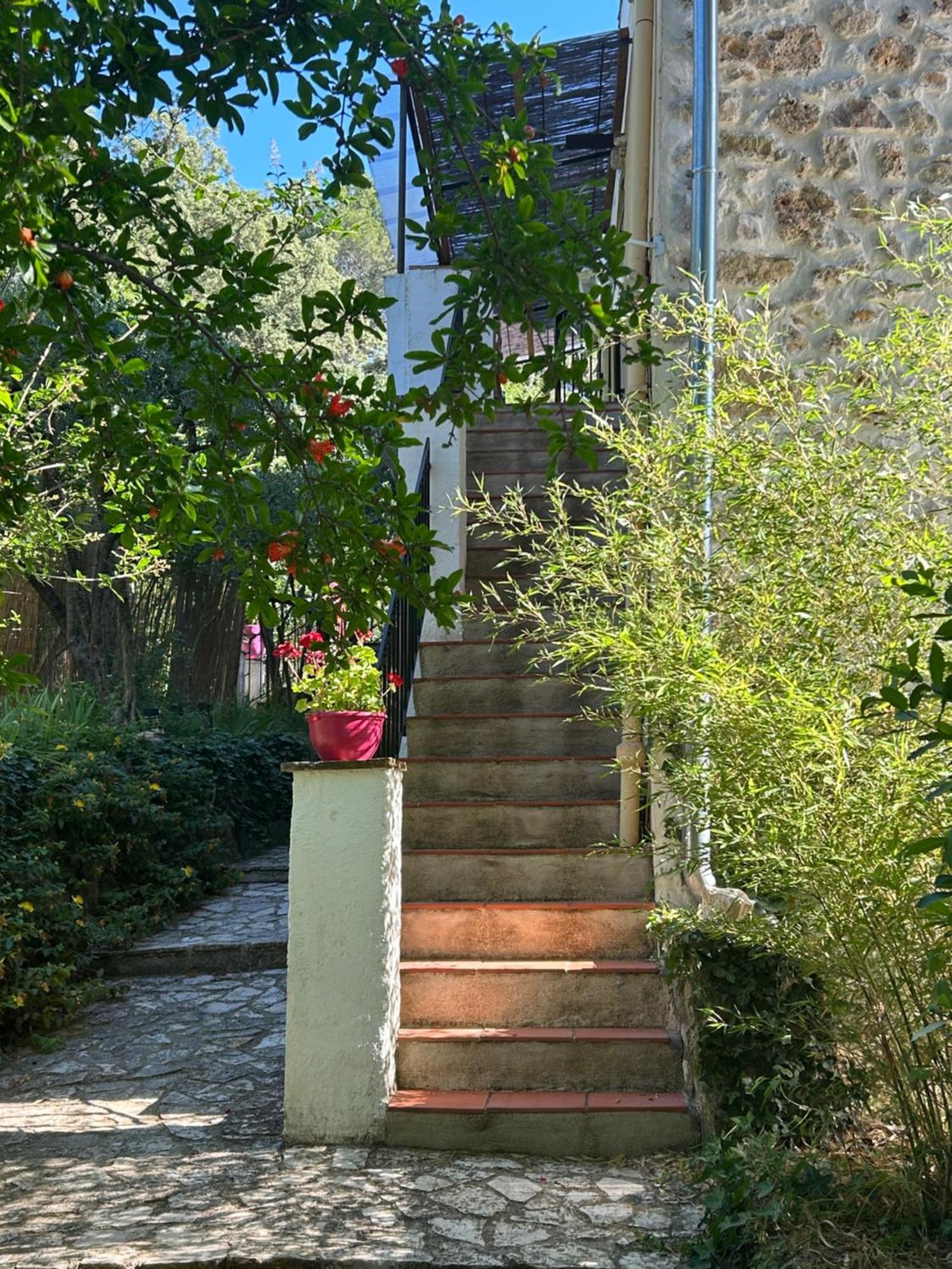 Bastide Des Hesperides Apartment Flayosc Exterior photo